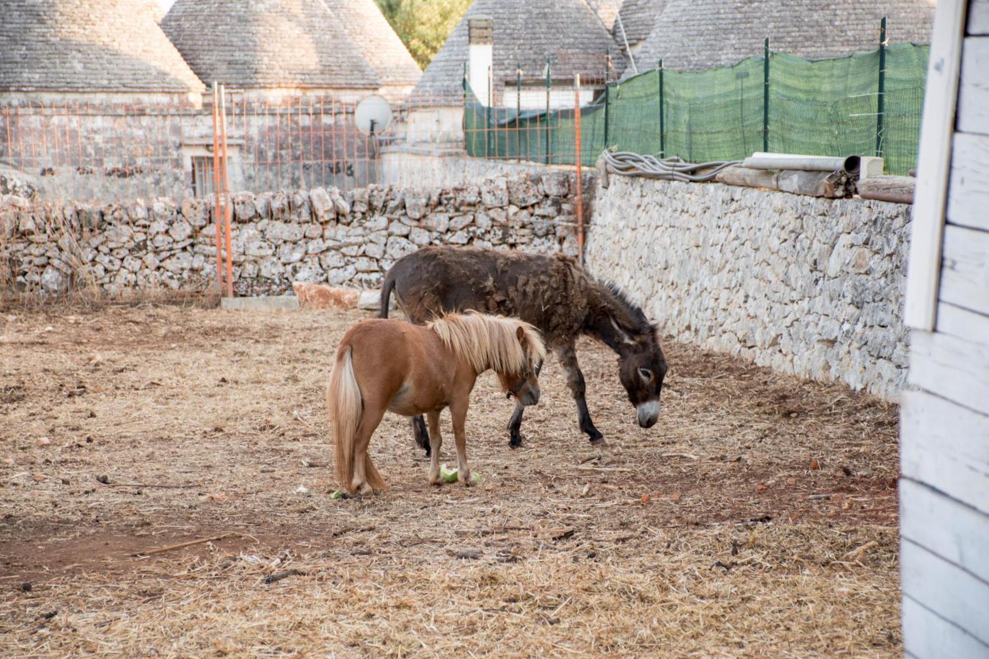 Trullo Cinquenoci Сasa de vacaciones *